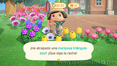 Animal Crossing: New Horizons