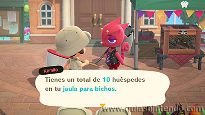 Animal Crossing: New Horizons