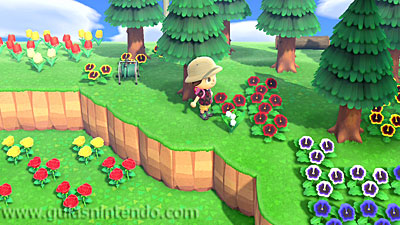 Animal Crossing: New Horizons