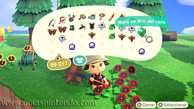 Animal Crossing: New Horizons
