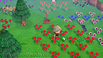 Animal Crossing: New Horizons