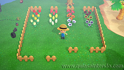 Animal Crossing: New Horizons
