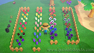 Animal Crossing: New Horizons