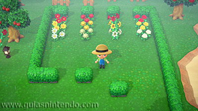 Animal Crossing: New Horizons