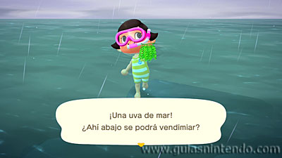 Animal Crossing: New Horizons