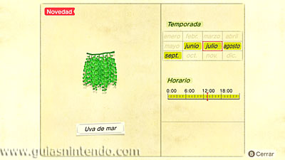 Animal Crossing: New Horizons