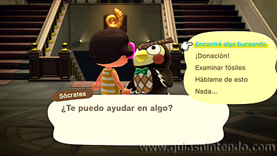 Animal Crossing: New Horizons
