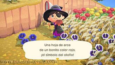 Animal Crossing: New Horizons