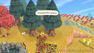 Animal Crossing: New Horizons