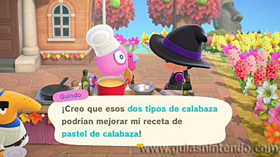 Animal Crossing: New Horizons
