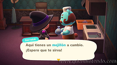 Animal Crossing: New Horizons