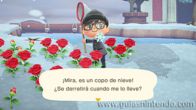 Animal Crossing: New Horizons