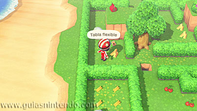 Animal Crossing: New Horizons