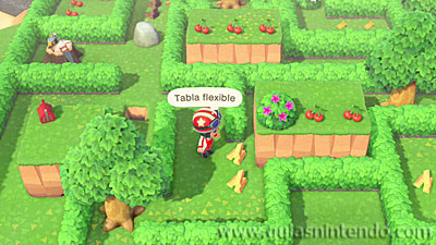 Animal Crossing: New Horizons