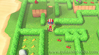 Animal Crossing: New Horizons