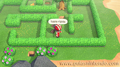 Animal Crossing: New Horizons