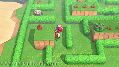 Animal Crossing: New Horizons