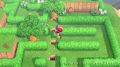 Animal Crossing: New Horizons