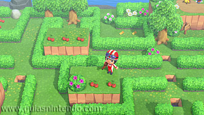 Animal Crossing: New Horizons
