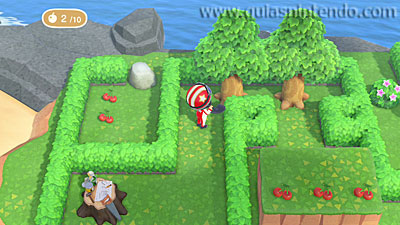 Animal Crossing: New Horizons