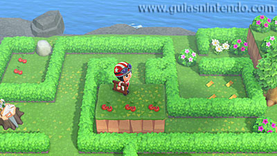 Animal Crossing: New Horizons