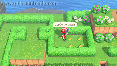 Animal Crossing: New Horizons