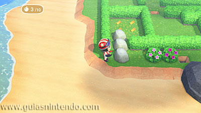 Animal Crossing: New Horizons