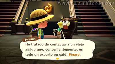 Animal Crossing: New Horizons