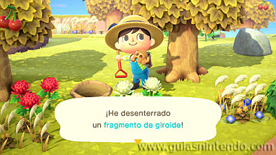 Animal Crossing: New Horizons