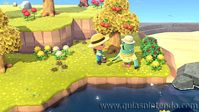 Animal Crossing: New Horizons