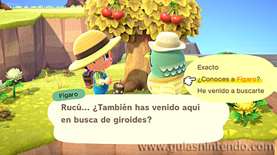 Animal Crossing: New Horizons