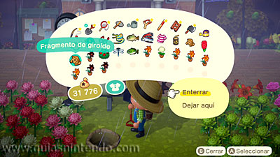 Animal Crossing: New Horizons