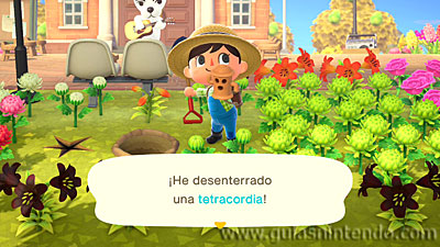 Animal Crossing: New Horizons