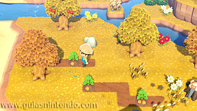 Animal Crossing: New Horizons