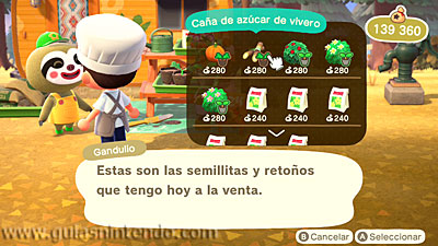 Animal Crossing: New Horizons