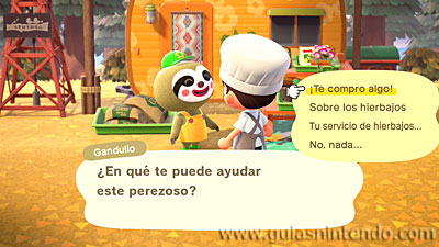 Animal Crossing: New Horizons