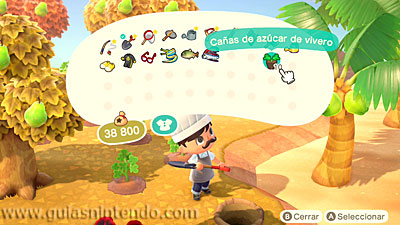 Animal Crossing: New Horizons
