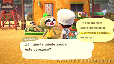 Animal Crossing: New Horizons