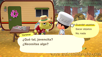 Animal Crossing: New Horizons