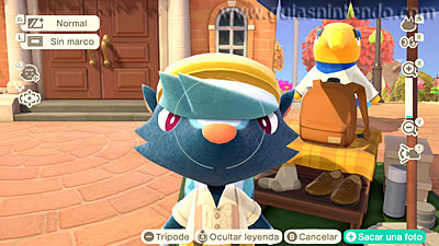 Animal Crossing: New Horizons