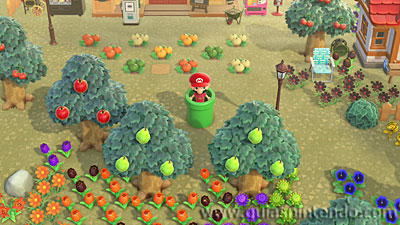 Animal Crossing: New Horizons