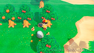 Animal Crossing: New Horizons