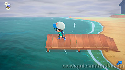 Animal Crossing: New Horizons