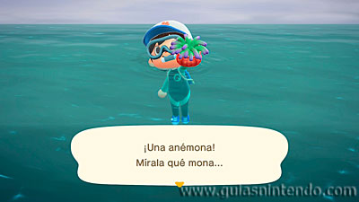 Animal Crossing: New Horizons