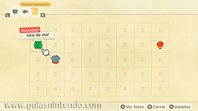 Animal Crossing: New Horizons
