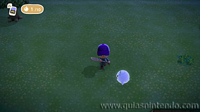 Animal Crossing: New Horizons