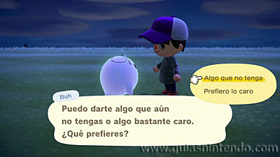 Animal Crossing: New Horizons