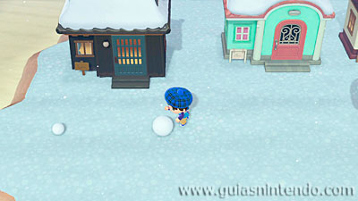 Animal Crossing: New Horizons