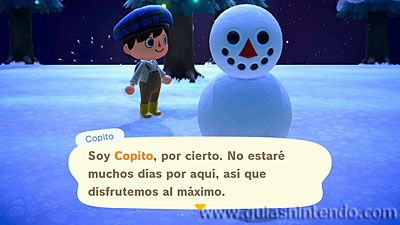 Animal Crossing: New Horizons