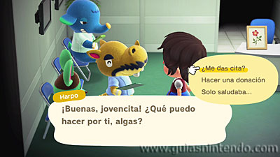 Animal Crossing: New Horizons